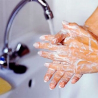 Медики советуют омичам усердно очищать овощи от грязи и пыли, а также мыть руки